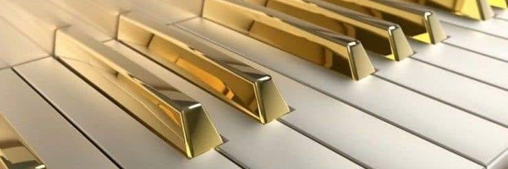 timmuso's profile banner image