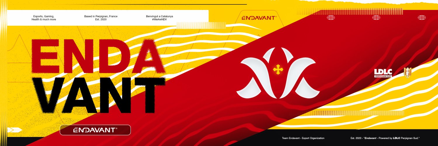 Team Endavant banner