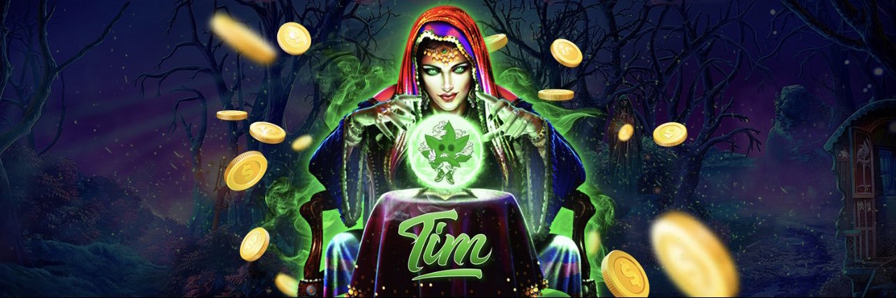 tim banner