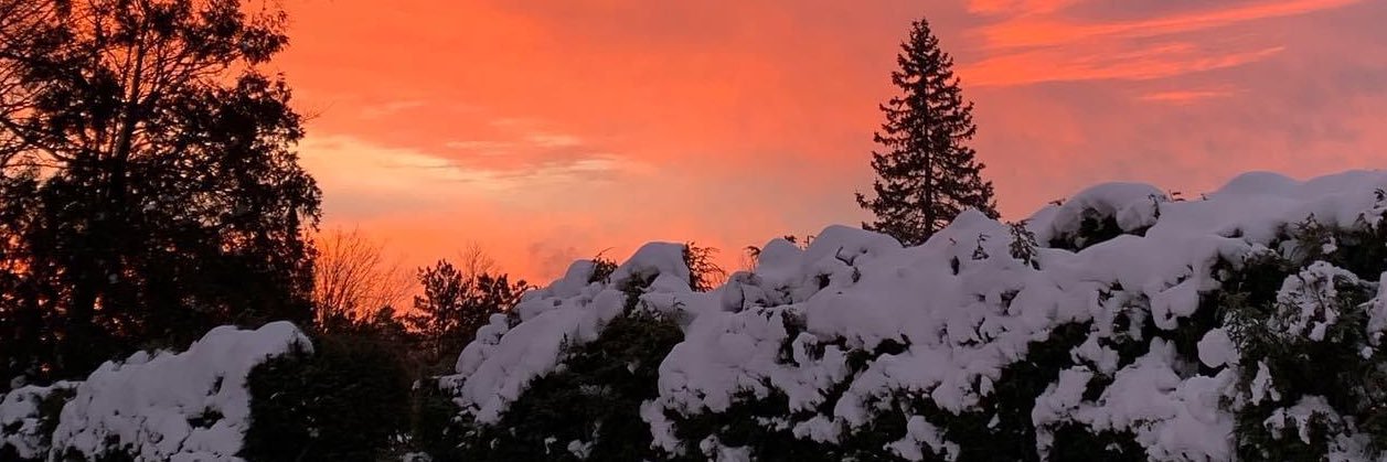pjrocks5's profile banner image