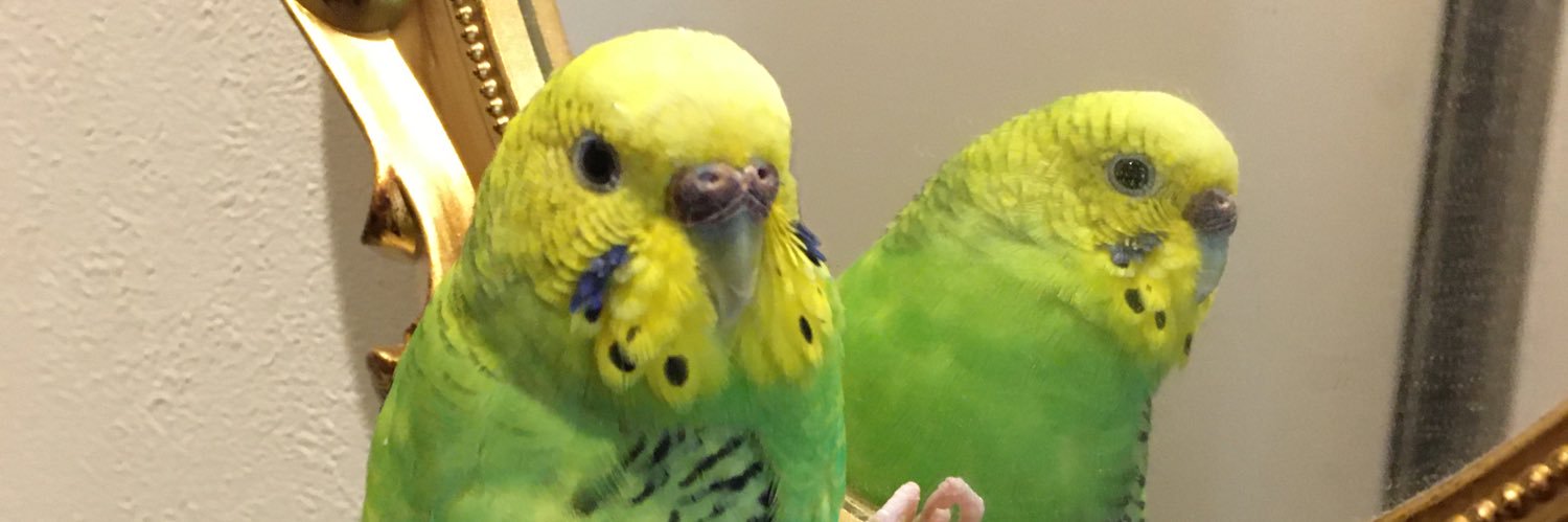 アトムンク AtoMunch banner