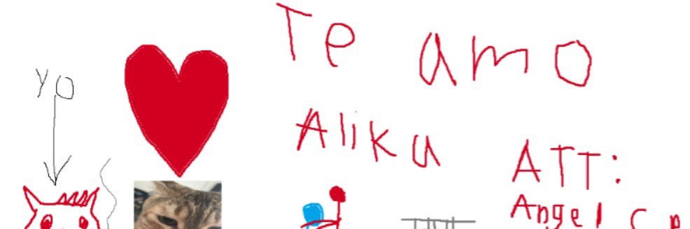 ali_hub__'s profile banner image