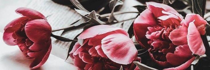 MarieMelyssa's profile banner image