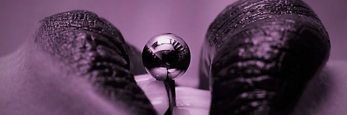 Pollon Anillado banner