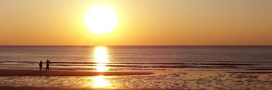 Climategate.nl ☀️ banner