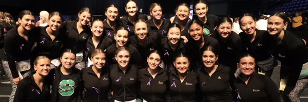 SHSVP4L Profile Banner