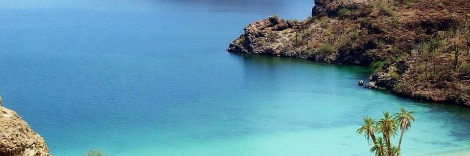 SusyBCS's profile banner image