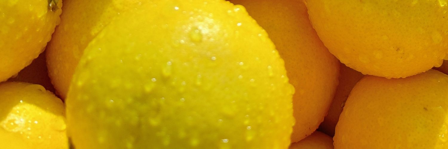 Max Music Machine banner