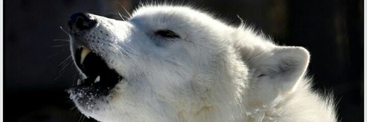 fani262's profile banner image