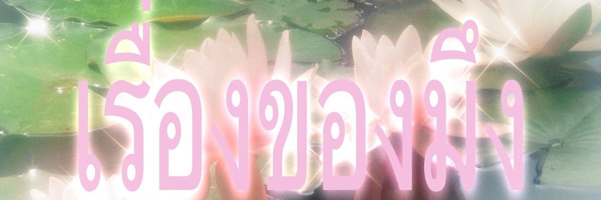 𝘥𝘰𝘯'𝘵 𝘬𝘪𝘭𝘭𝘪𝘯 𝘮𝘺 𝘷𝘪𝘣𝘦 banner