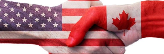 theGreatCaliko's profile banner image