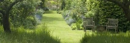 Åçe 蔡 坤 熙 banner