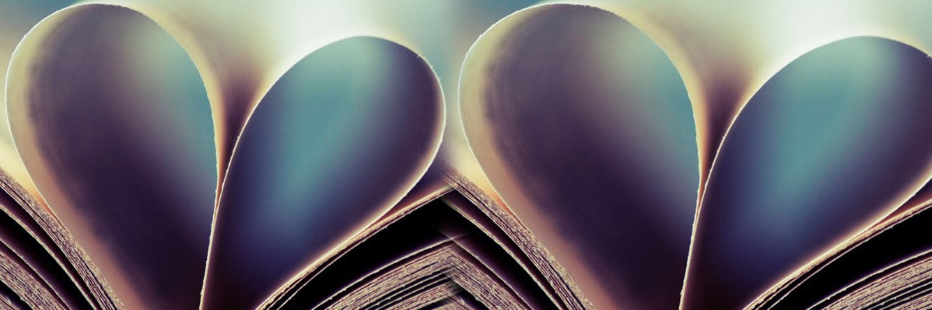 stoddart_donna's profile banner image
