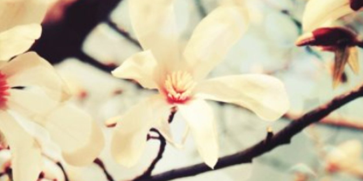 Tori Keyes banner