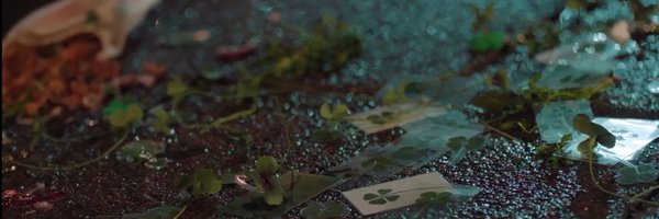 jeruknipi_ Profile Banner