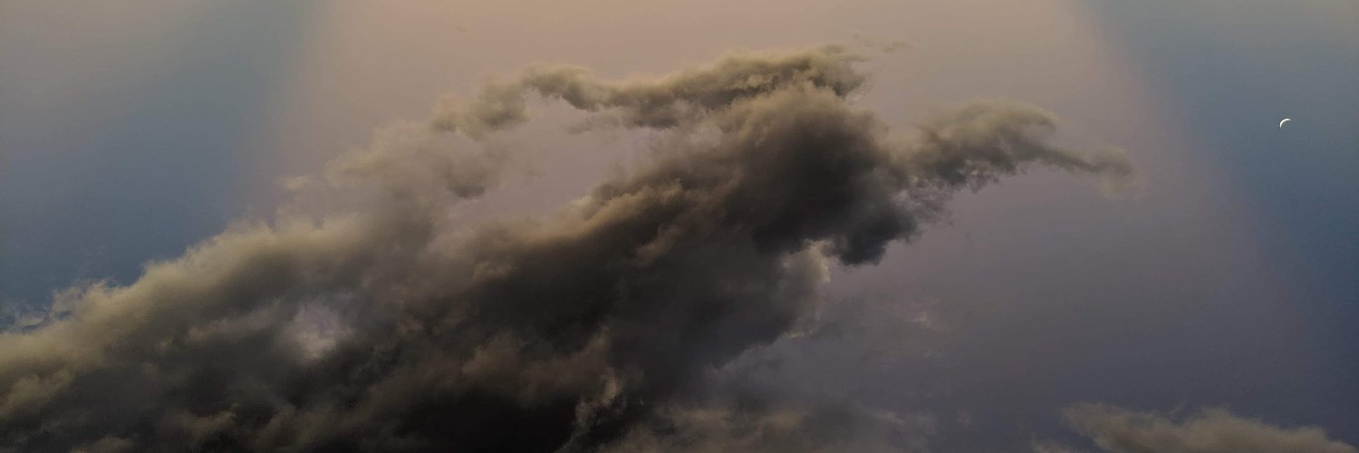 LBellBooks's profile banner image