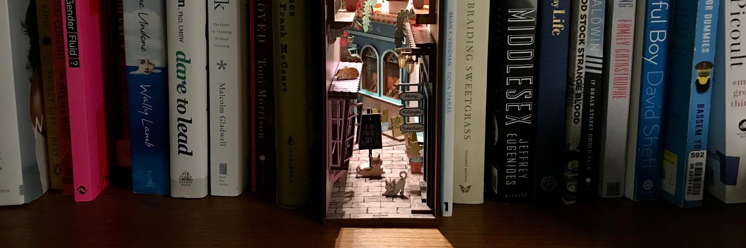 LibrarianWave's profile banner image
