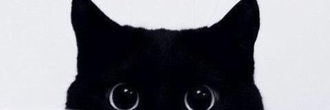 wk393939's profile banner image
