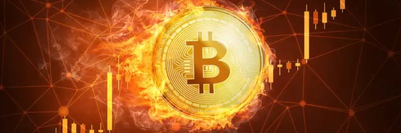 EntrandoNaBolsa's profile banner image