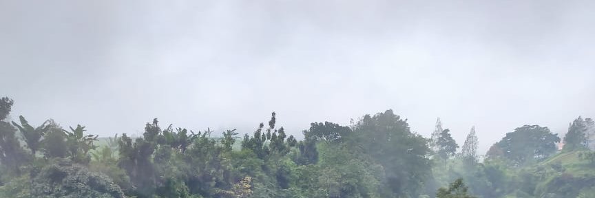 ari puguh basuki banner