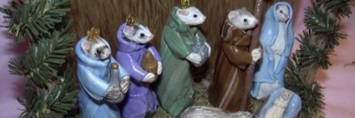 king cake connoisseur banner