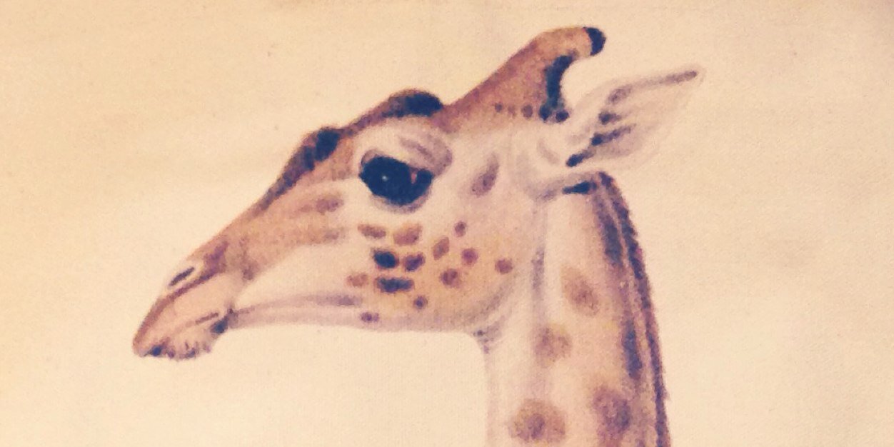 ppppppaodddddd's profile banner image