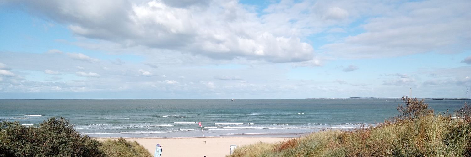 flying_unicorn banner