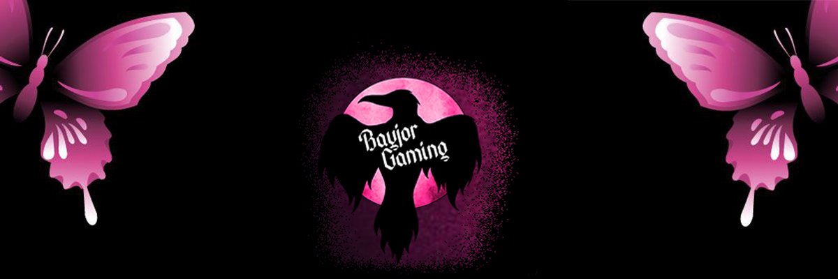 BayjorGaming's profile banner image