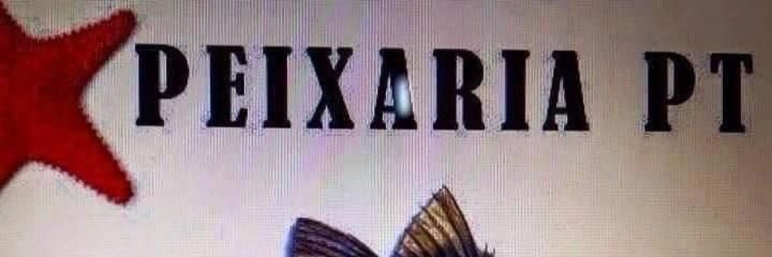 kris_callithrix's profile banner image