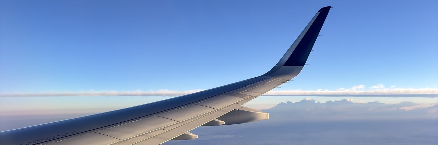 LatinCub 🐻🇵🇷 (15k) banner