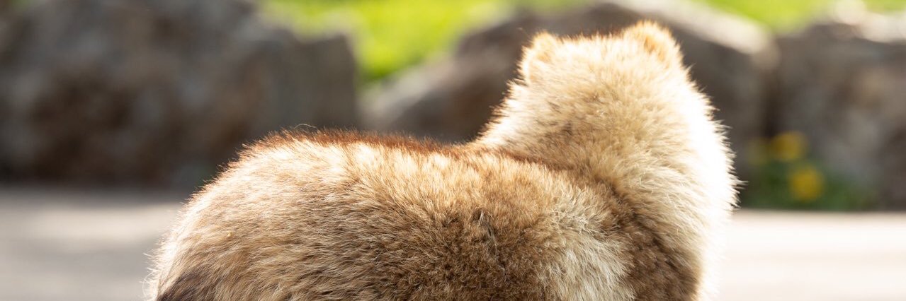 えれふぁ banner