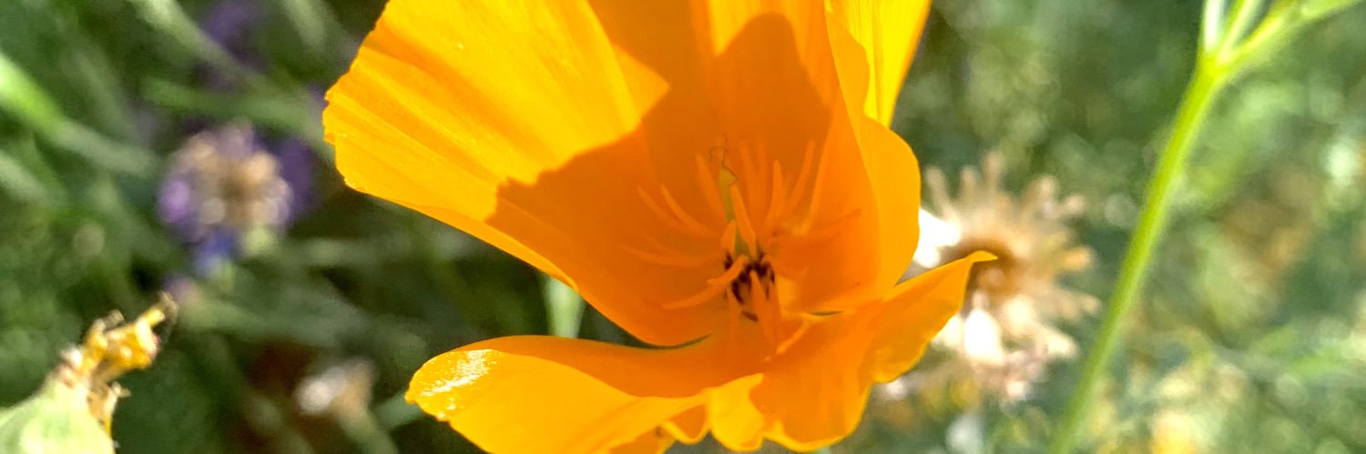 Pauliiine_2's profile banner image