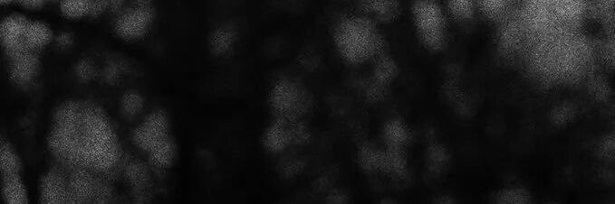 za_wloo's profile banner image