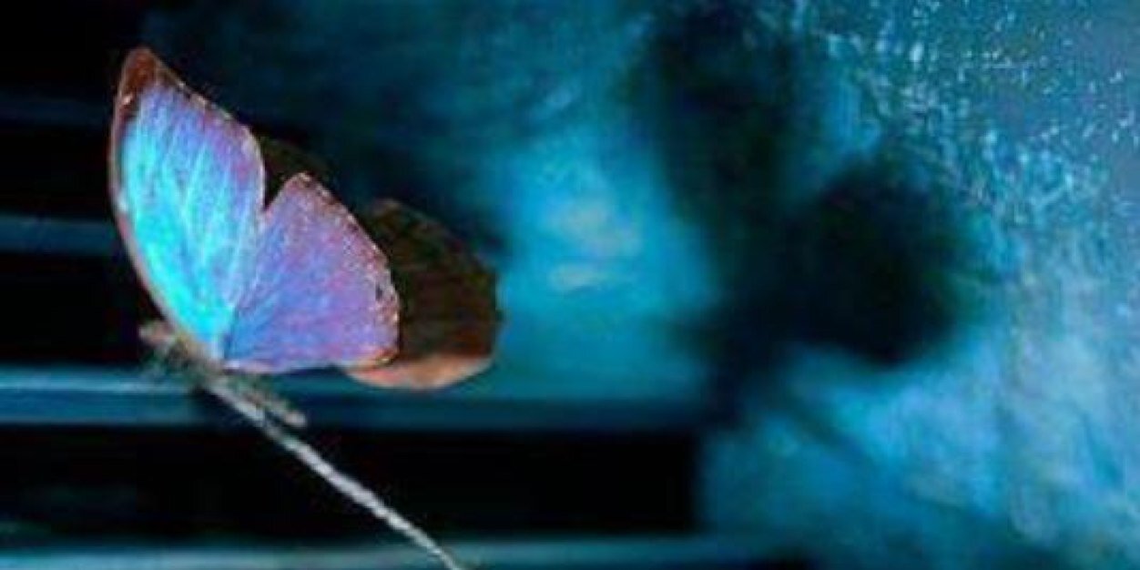 Emilene Leite banner