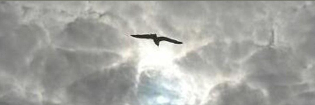 Halo0630's profile banner image