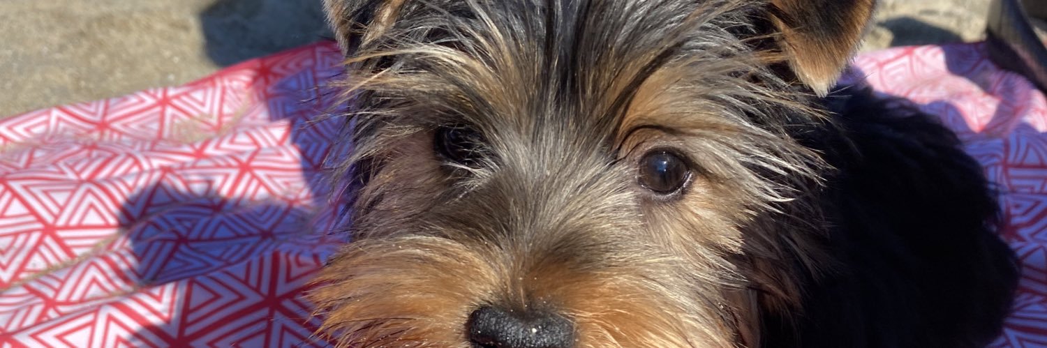 fgonzaleze's profile banner image