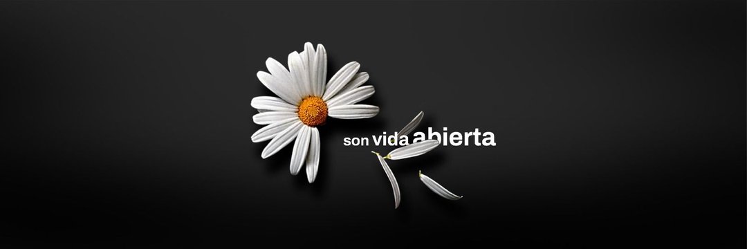 luu_a92's profile banner image