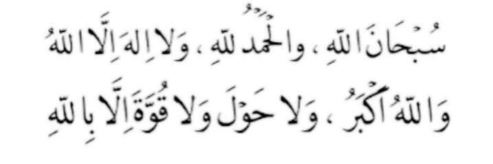 محمد بن ماجد banner