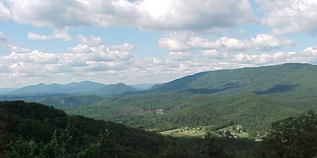 Terry L Austin banner