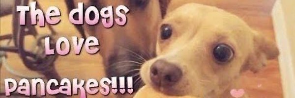 paanopticon Profile Banner