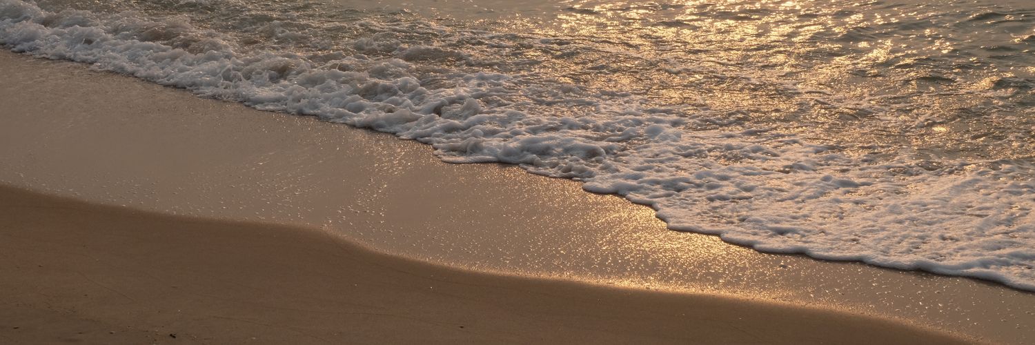 Mook_Mintra15's profile banner image