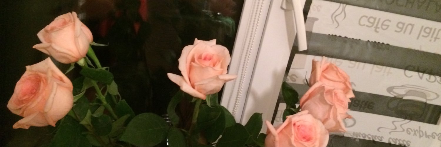 karinakeklerova's profile banner image