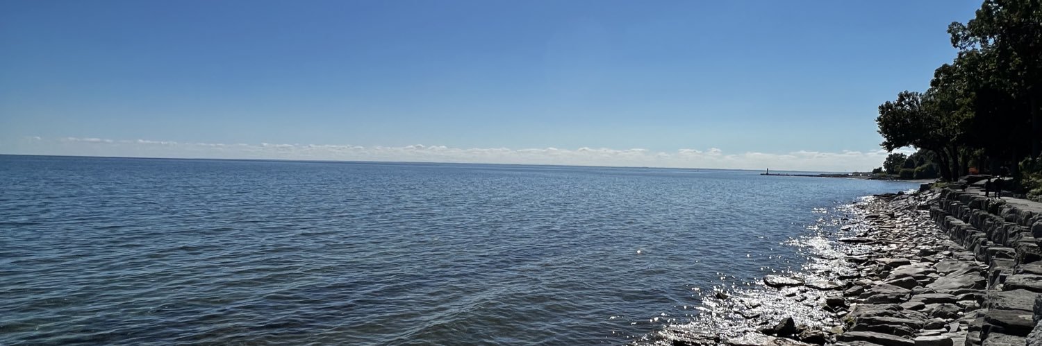 John Luchetti banner