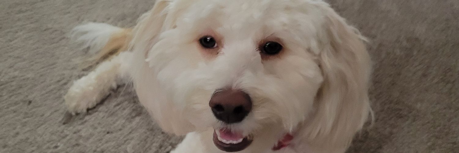 captain rilu ✨💥 exploding banner