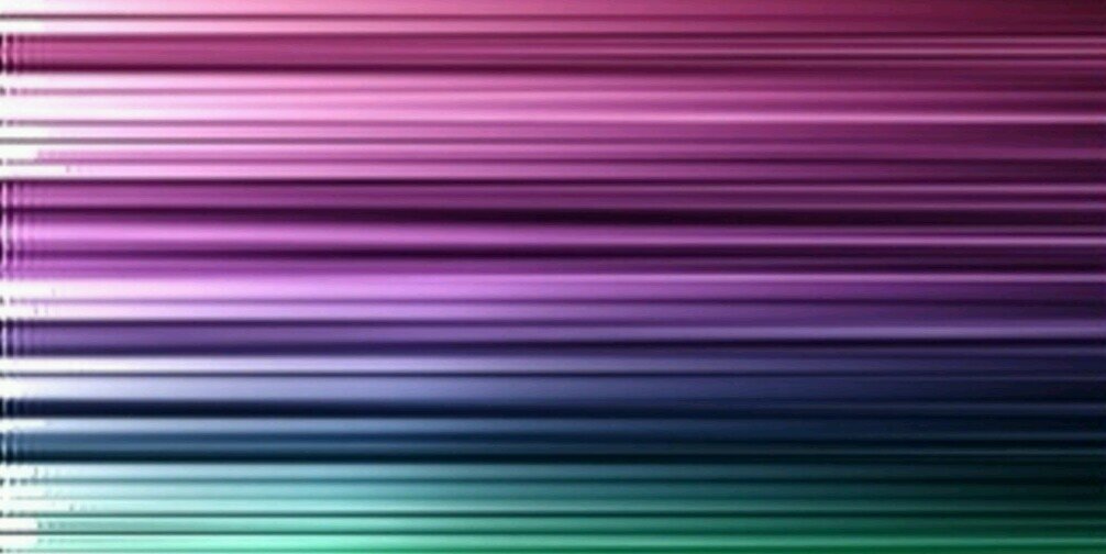 meerman_lizzy's profile banner image