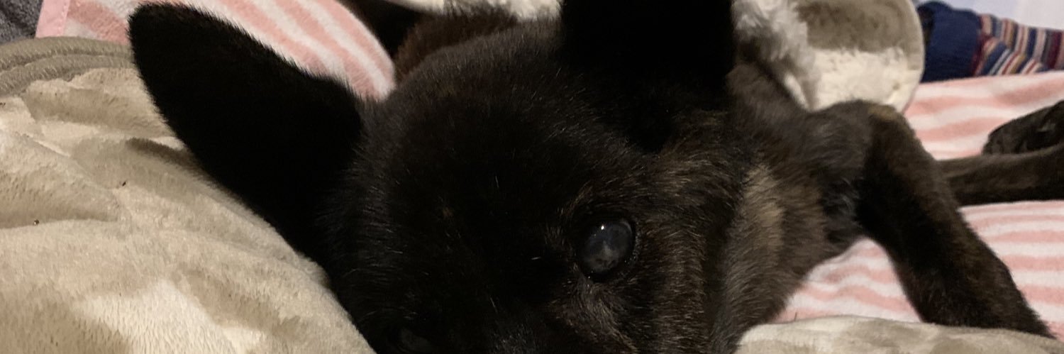 kingyo206's profile banner image