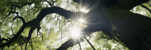 DebraDeniston Profile Banner