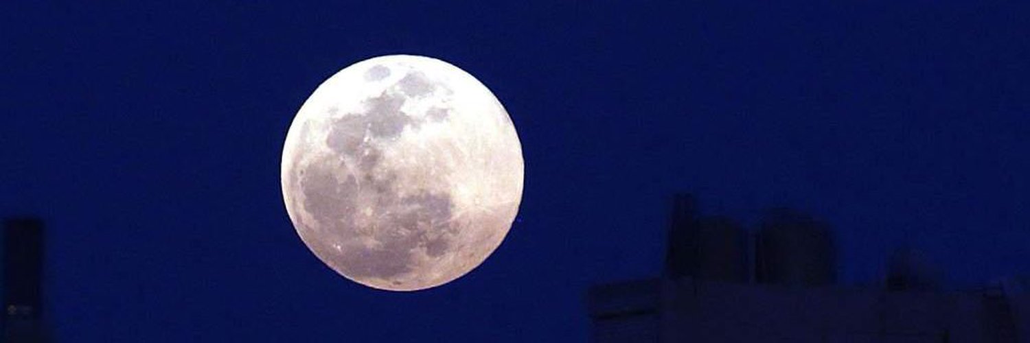 Martin ANTROO banner