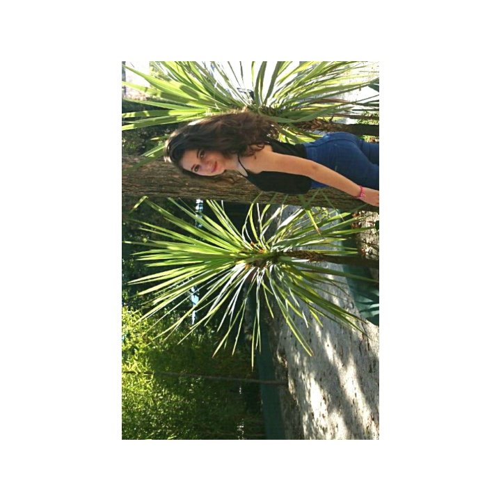 AndreaSanchez_3's profile banner image