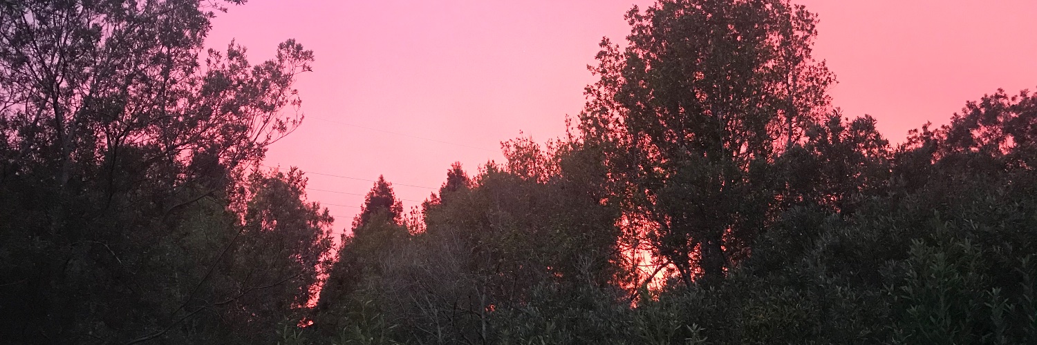 Nor-Cal Occupied Territory banner